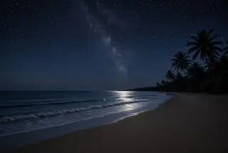 Moonlight and stars over the coast