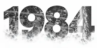 1984, illustrated with the black-and-white aerial coastline and palms fading into the paper