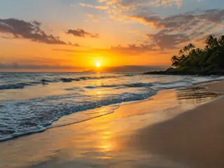 A quiet palm-lined beach at sunset
